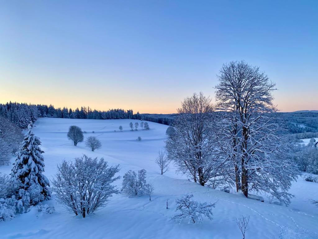 Gaestehaus Steiert Fewo Kuhbergblick Ленцкирх Экстерьер фото