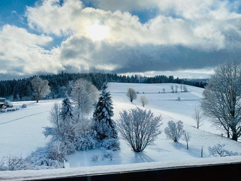 Gaestehaus Steiert Fewo Kuhbergblick Ленцкирх Экстерьер фото
